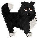 Profile image of PD's Dressed to Kill