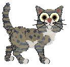 Nightwish Writing with Light — “Candle”