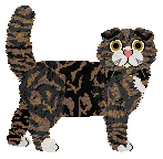 Evergreen Sprinkled of MANTEL A CUADROS — “Cinnamon”