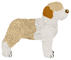 Uplands Old-School Pop — “Barbara”