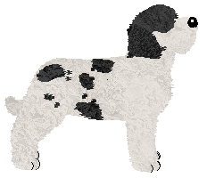 Uplands Rich Man — “Philip”