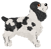 BFK's Elemental Berry Giver — “Chwinga”