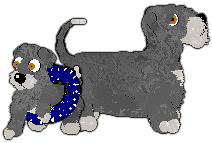 Profile image of Witz's Immunity Support