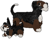 Profile image of Witz's Not from Concentrate