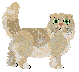 Taremu Bleeding Cream — “Joy”