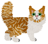 Taremu Orange Soda Crackle — “Kismet”