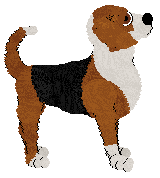 Olfaction Never Trust A Fart — “Puzzle”