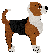 Olfaction Never Trust A Fart — “Puzzle”