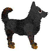 Vanilla's Absolute Mayhem — “Chaos”