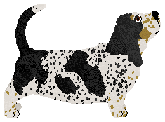 TRELE MORELE Szajka Uchatych — “Zula”