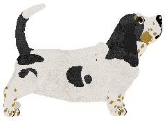 ŻWIREK I MUCHOMOREK Szajka Uchatych — “Żwirek”