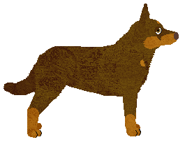 Converse FASTER THAN LIGHT — “Fast”