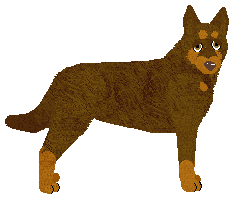 Profile image of Converse FASTER THAN LIGHT