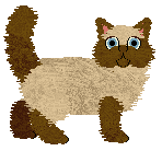 Vama's The Faithful NYC — “Moe”