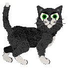 Taremu Those Who Died Are Justified — “Rage”