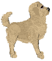 Geriatrix No Idea Mate — “Heidi”