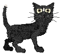 Profile image of Rattlesnake’s Spirit of Opporunity