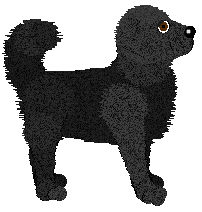 Geriatrix Saviour Complex — “Clown”