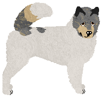 Eli's Now Is the Knowing — “Bai Sema”