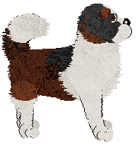 Cargo's Summer Field Symphony — “Lady”