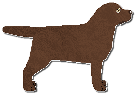 Profile image of Riflery In The Understory