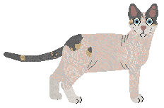 Rumpleteazer Big Donnetta — “Donnetta”