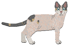 Profile image of Rumpleteazer Big Donnetta