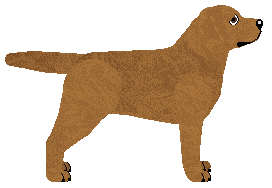 Riflery Boreal Forest — “Derek”