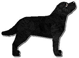 Profile image of Riflery The Art and Science of Silviculture