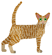 The Great Gatsby of PawPrintz — “Gatsby”