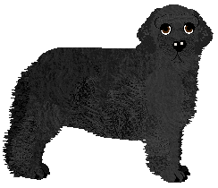 Profile image of Geriatrix Fishy Business