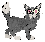 Rattlesnake’s Cold Cold Night — “Hassan”