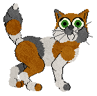 Rattlesnake's Alert Manner — “Betty”