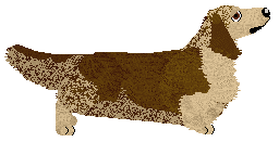 Cansas' Jocelyn Flores — “Lynn”