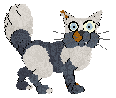 Rattlesnake's Not Far Down to Paradise — “Catalina”