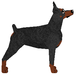 Cansas' Johnny Cash — “Diesel”