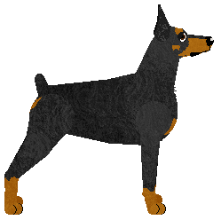 Cansas' Ready 4 Whatever — “Ashanti”