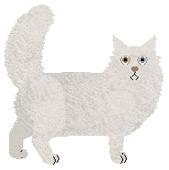 Blizzard KASHMIR — “Alexander”