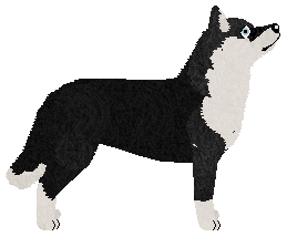 Shining Hazy Shade of Winter — “Echo”