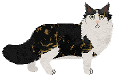 Blizzard DAZED AND CONFUSED — “Yavanna”