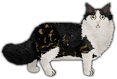 Profile image of Blizzard DAZED AND CONFUSED