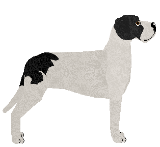 UMBERTO of Amore Mio — “Regal”