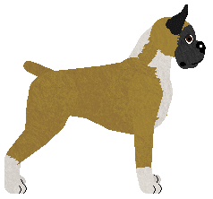 Cansas' Cliffs Edge — “Catani”