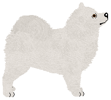 Cansas' Obsidian Electraglide — “Onyx”