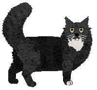 Profile image of Blizzard FOOL IN THE RAIN