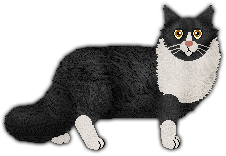 Profile image of Belleteyn Black Velvet