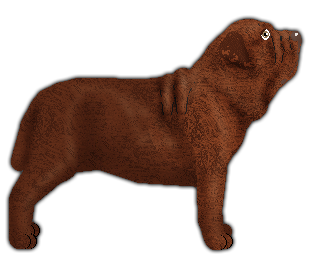 Profile image of Blizzard Anema e core