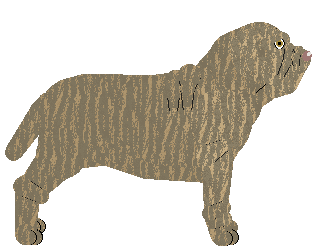 Blizzard Reginella — “Aida”