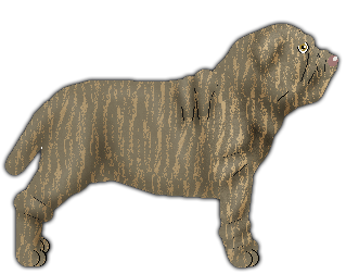 Profile image of Blizzard Reginella