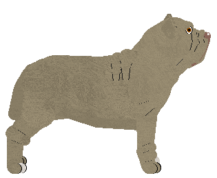 Blizzard Era de maggio — “Lidia”